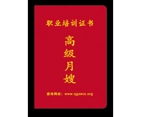 高级月嫂